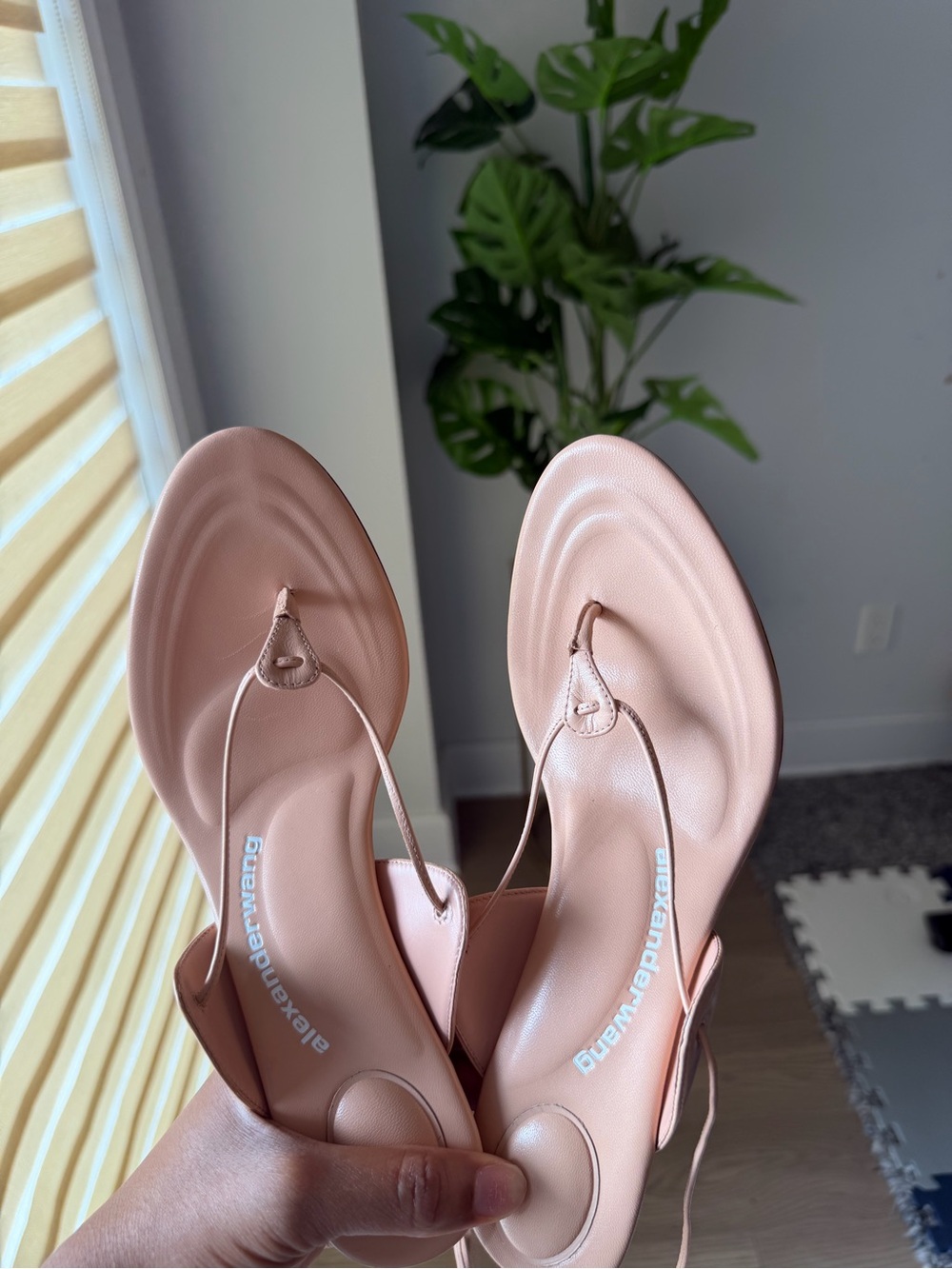 Alexander Wang Nude Pink Leather Thong Sandals - Picture 1 of 6